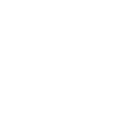 Diástasis de rectos