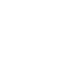 Apendicitis y urgencias abdominales