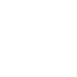 Reflujo y reconexión intestinal